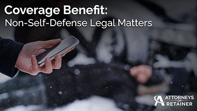 Non-Self-Defense Legal Matters